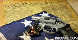 constitution-gun2