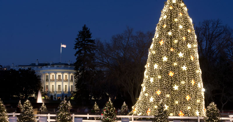 white-house-christmas